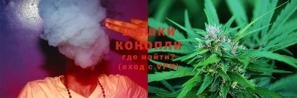 spice Аркадак