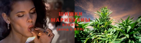 ПСИЛОЦИБИНОВЫЕ ГРИБЫ Алексеевка