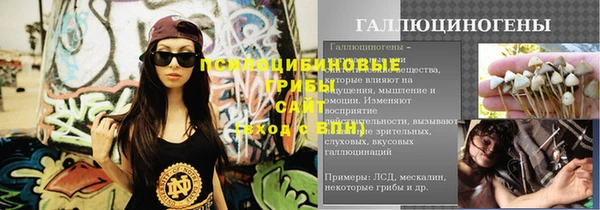 ПСИЛОЦИБИНОВЫЕ ГРИБЫ Алексеевка