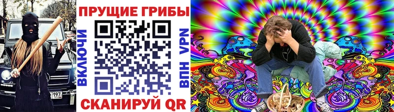 Купить где  Сретенск  Галлюциногенные грибы Psilocybine cubensis 